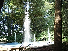 233 Longwood Gardens [2008 August 23]